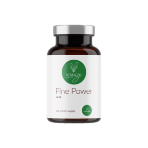 pine power herb